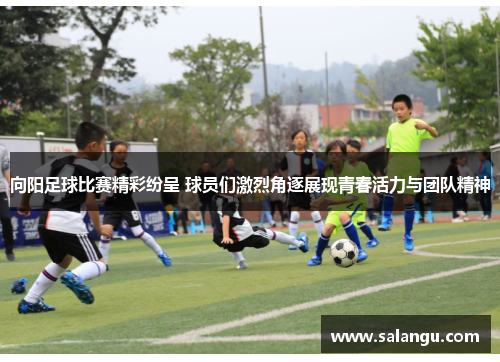 向阳足球比赛精彩纷呈 球员们激烈角逐展现青春活力与团队精神